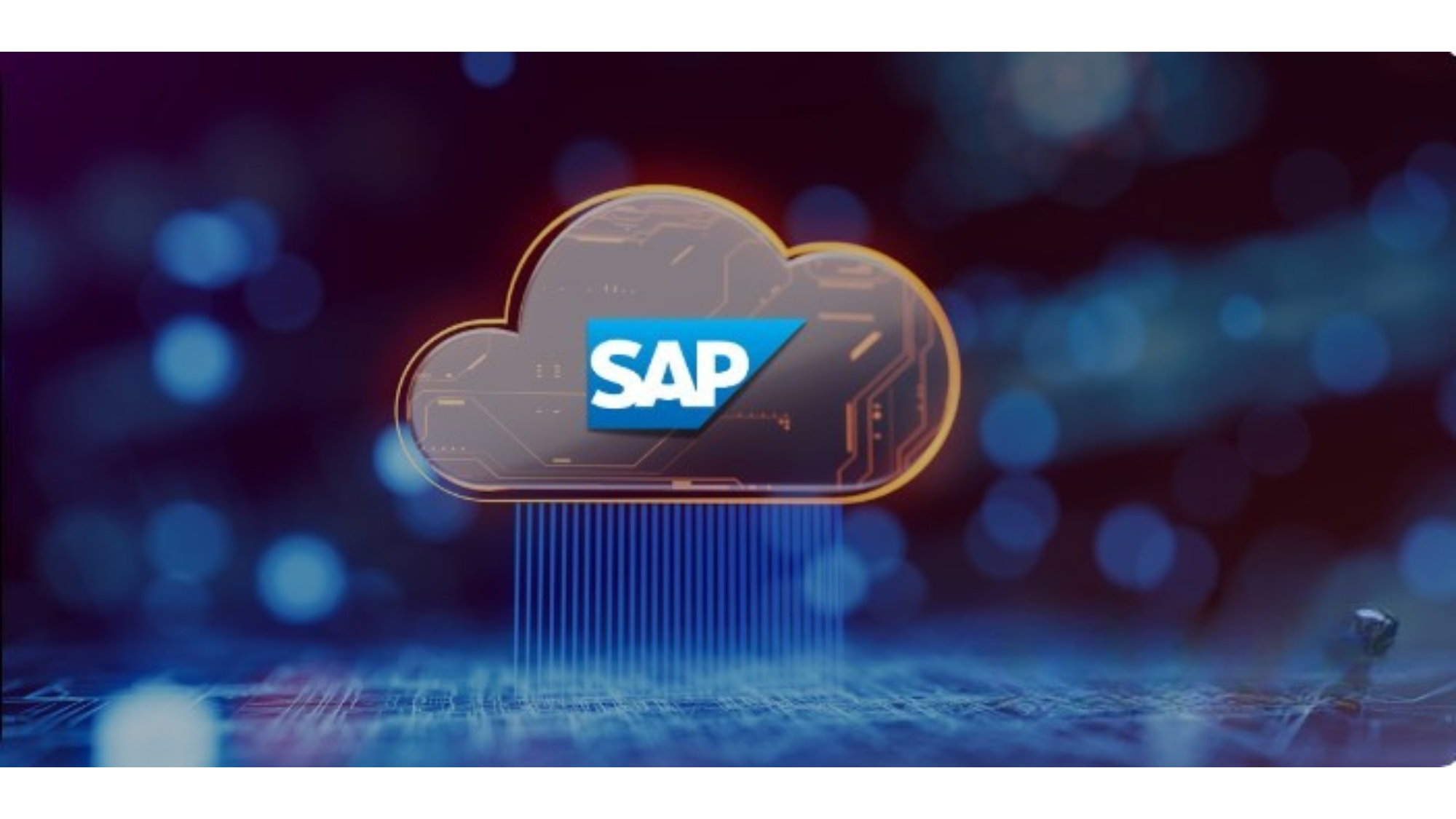 SAP Webinar